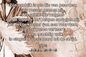 Joel0204-05 NBG